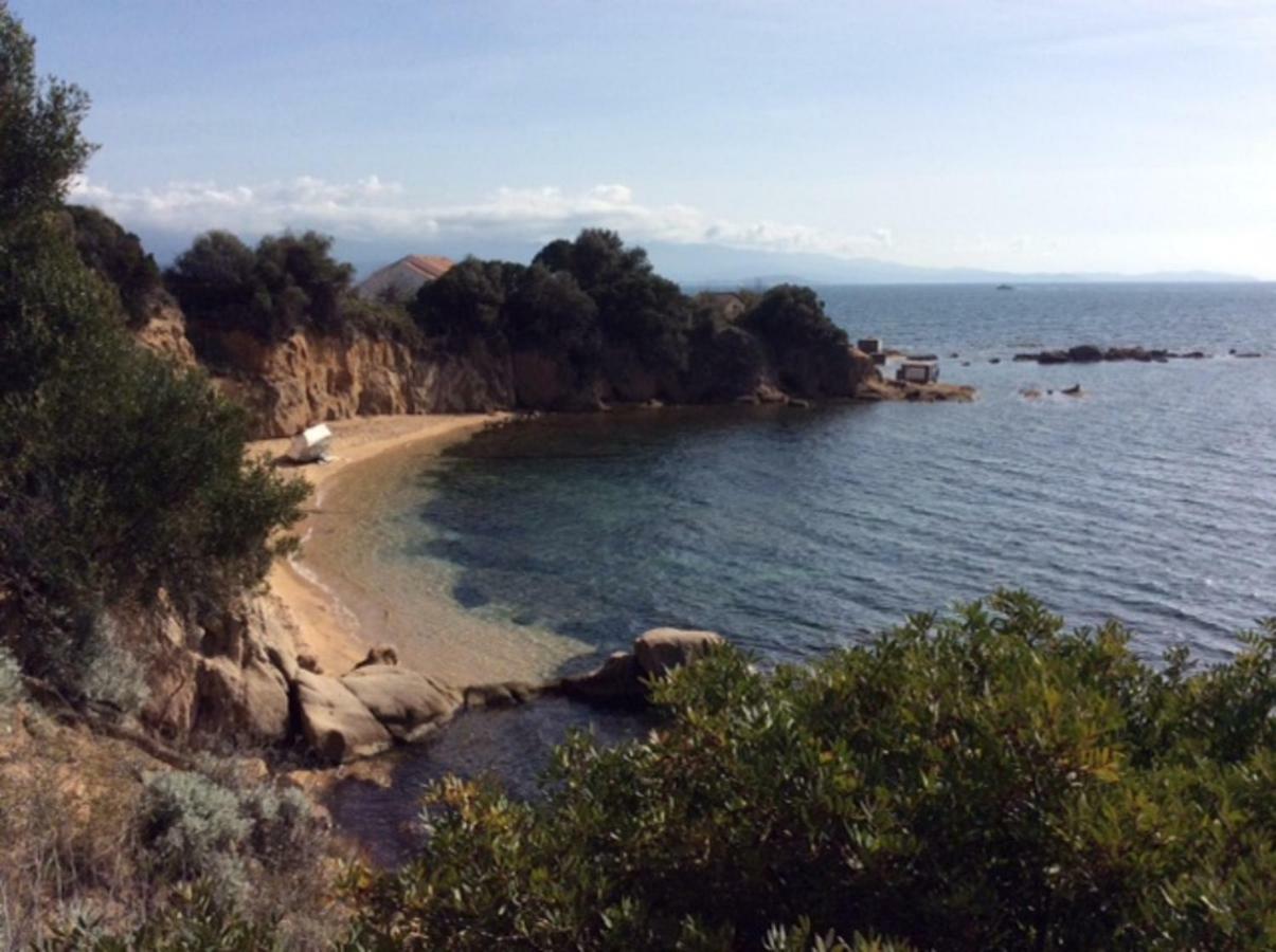 Villa D'Exception, Piscine, Vue Mer, Plage A 100M Ajaccio  Exteriör bild