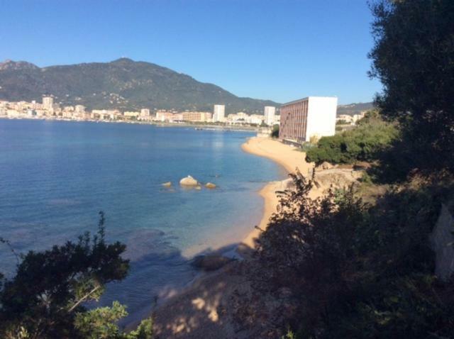 Villa D'Exception, Piscine, Vue Mer, Plage A 100M Ajaccio  Exteriör bild